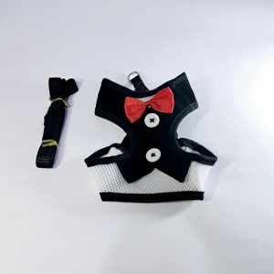 20250810_174314 Arnés Ajustable para Perro Mediano con Correa