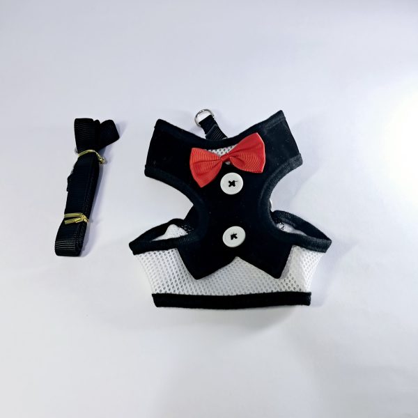 20250810_174314 Arnés Ajustable para Perro Mediano con Correa