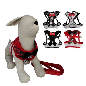 Arnés Ajustable para Perro Mediano con Correa